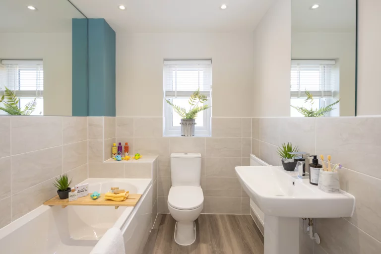 Image carousel 3579241 1776740499