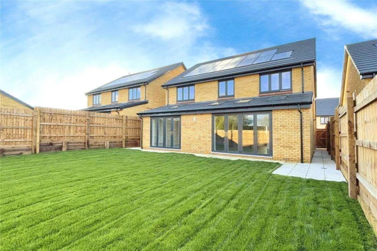 Image carousel 3579696 1776823287