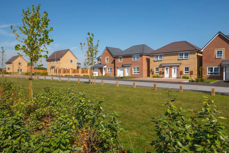 Image carousel 3579716 1776826848