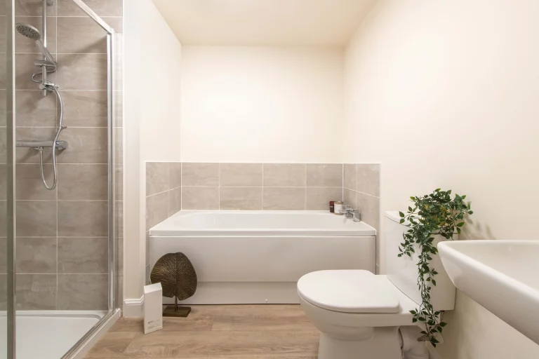 Image carousel 3581146 1777086098