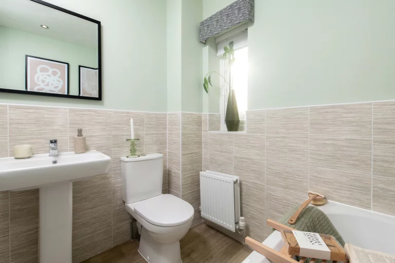 Image carousel 3581211 1777086141