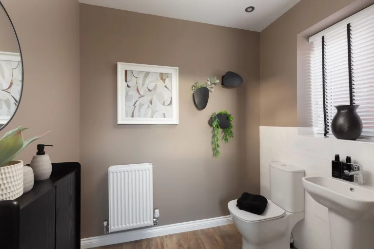 Image carousel 3581491 1777093276