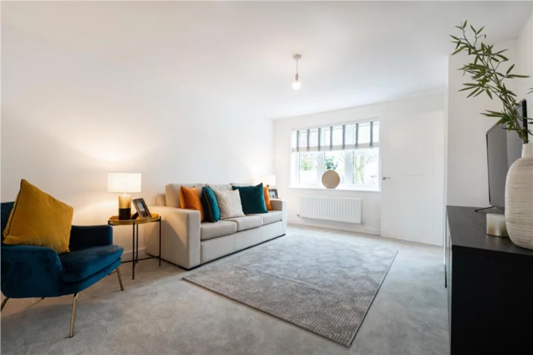 Image carousel 3581646 1777169281