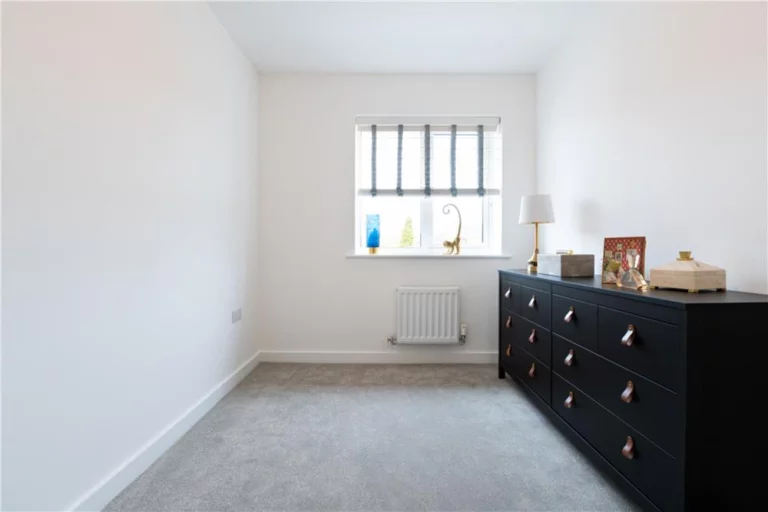 Image carousel 3581686 1777169285