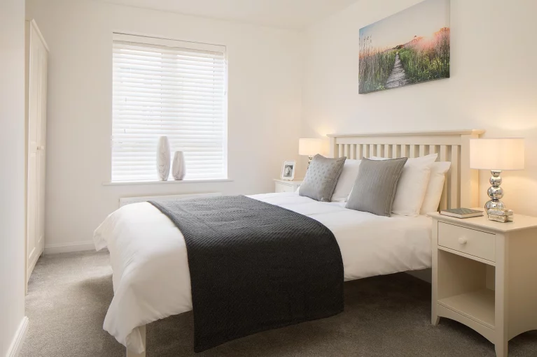 Image carousel 3581986 1777345307