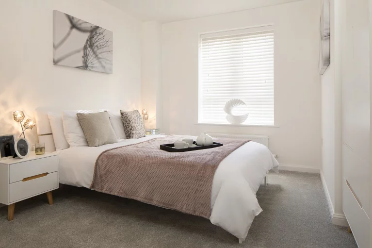 Image carousel 3582006 1777345308