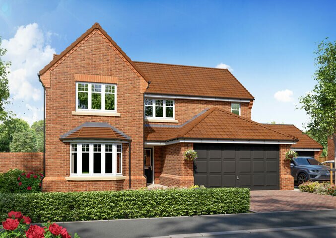 Property box 2598255 1667365594