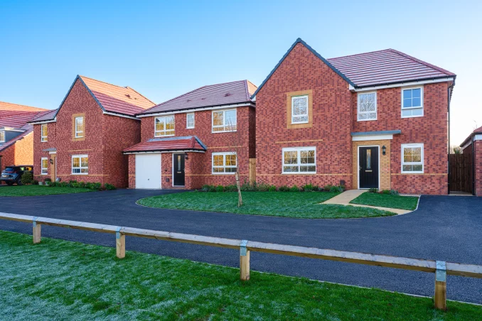 Property box 3170151 1737082847