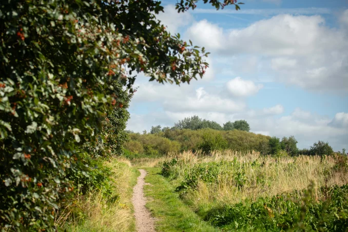 Property box 3190876 1739329242