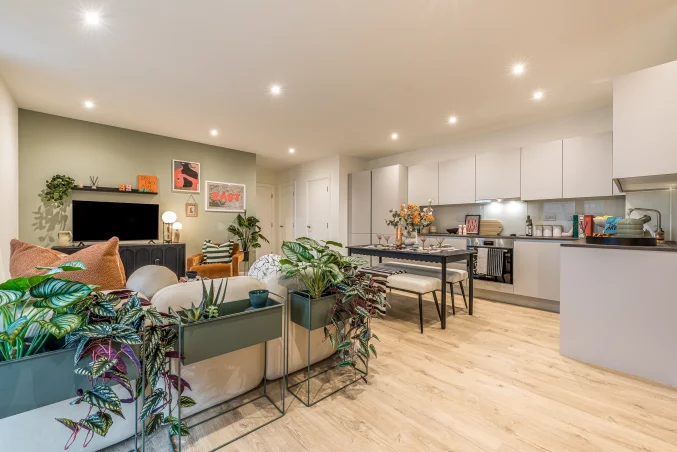 Property box 3260801 1747389663