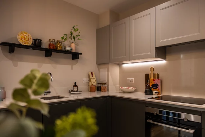 Property box 3501876 1762571050