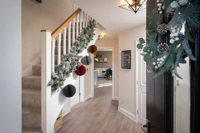 Property box 3511856 1764385268