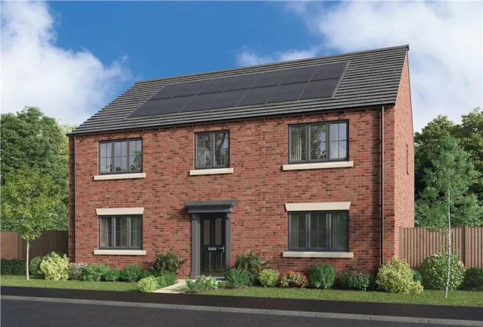 Property box 3515176 1765073824