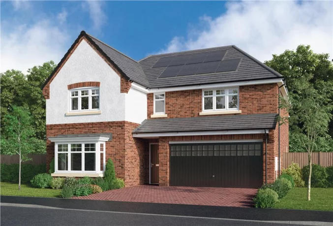 Property box 3526791 1768270862