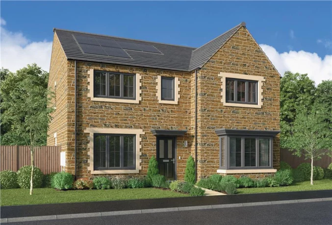 Property box 3548436 1771294875