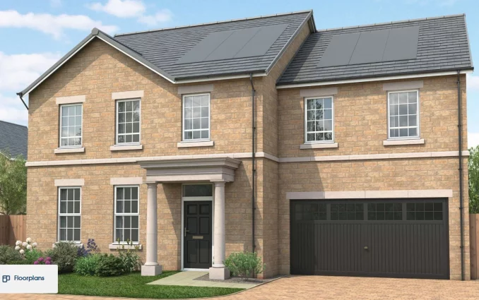 Property box 3555906 1772797286