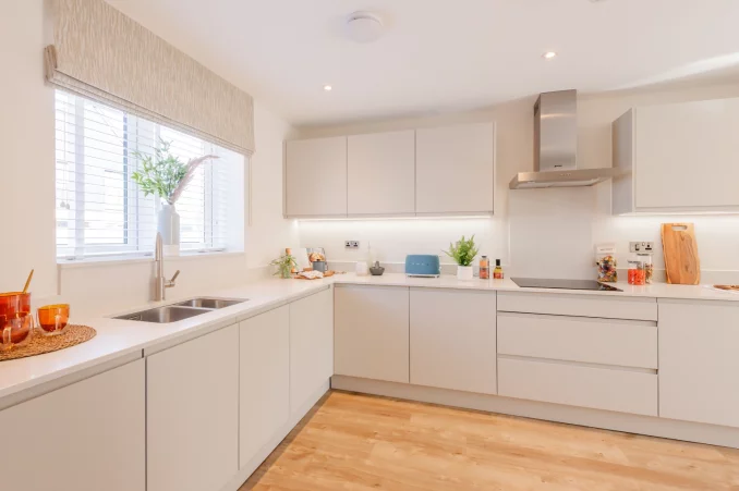 Property box 3558491 1773244460