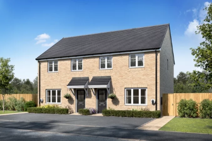 Property box 3561906 1773743782