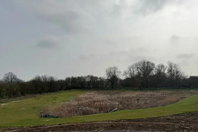 Property box 3567831 1774494120