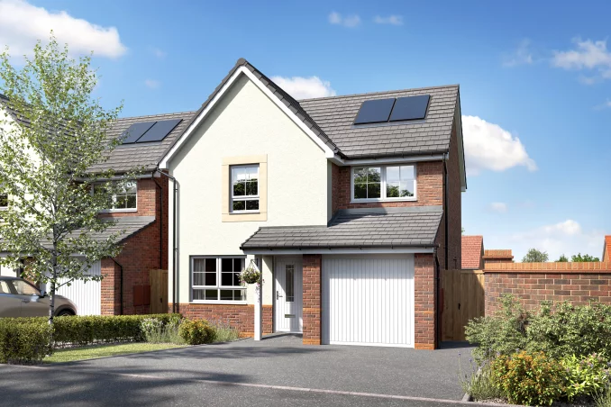 Property box 3572936 1775617240