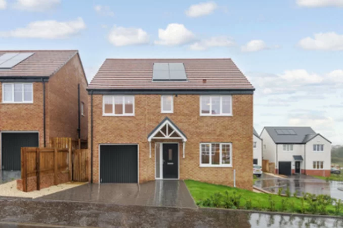Property box 3658791 1789052903